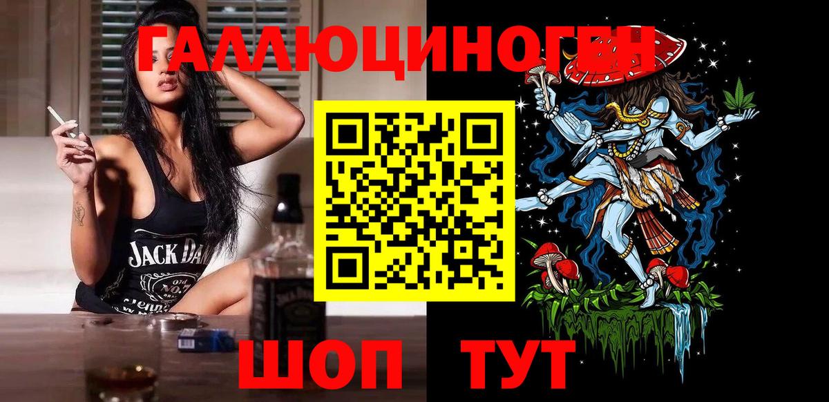 Псилоцибиновые грибы Psilocybe Элиста