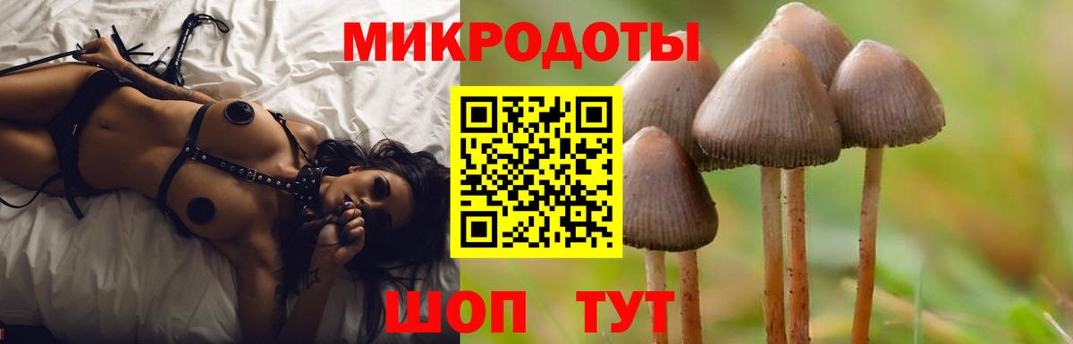 Элиста  Галлюциногенные грибы ЛСД  Вход с VPN 
